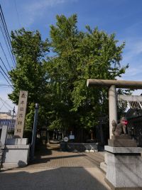 高木神社入口