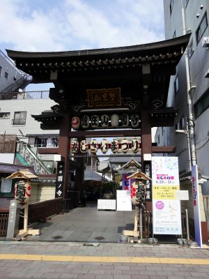 浅草・長國寺「いきいき浅草あじさい祭」の風景